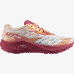 Salomon Aero Volt W