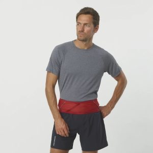 Salomon Pulse Belt