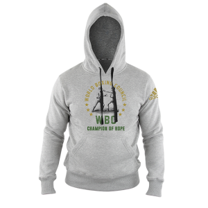 adidas WBC Hoodie grau ADIWBCH01