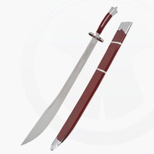 Kung Fu Säbel Dao Training